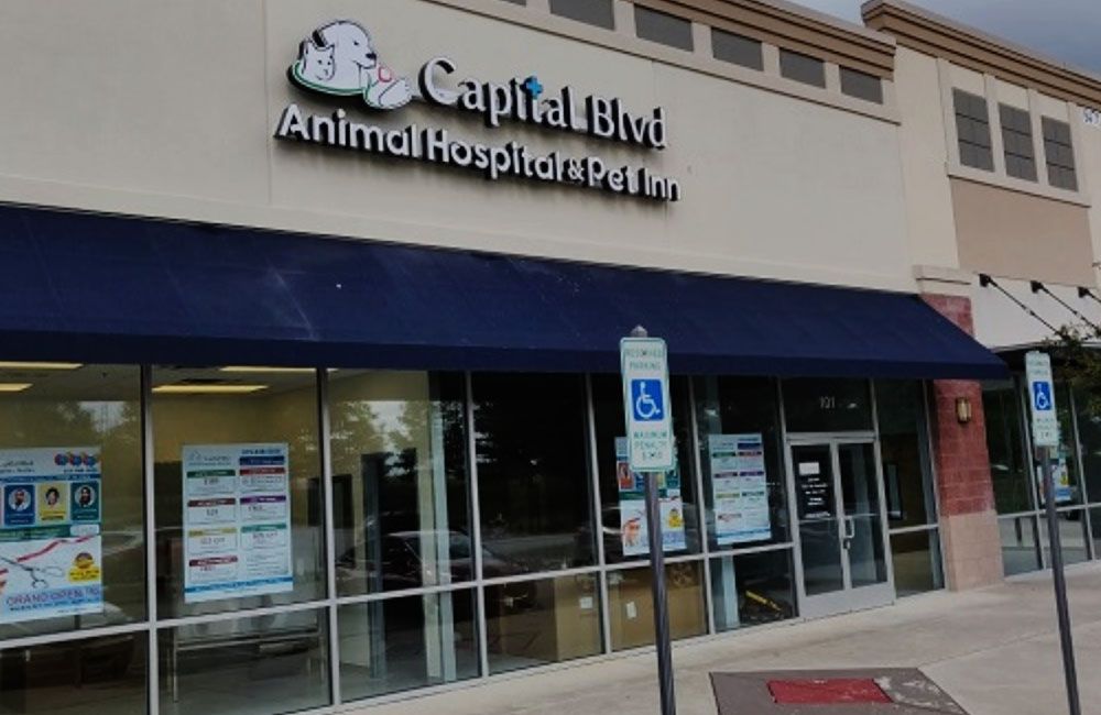 Capital Blvd Animal Hospital Pet Inn entrance