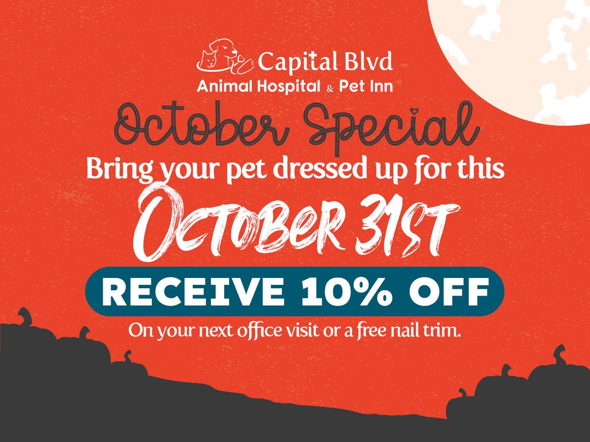 October is Bring you pet dressed up for and Receive10% off your pets next office visit or a free nail trim