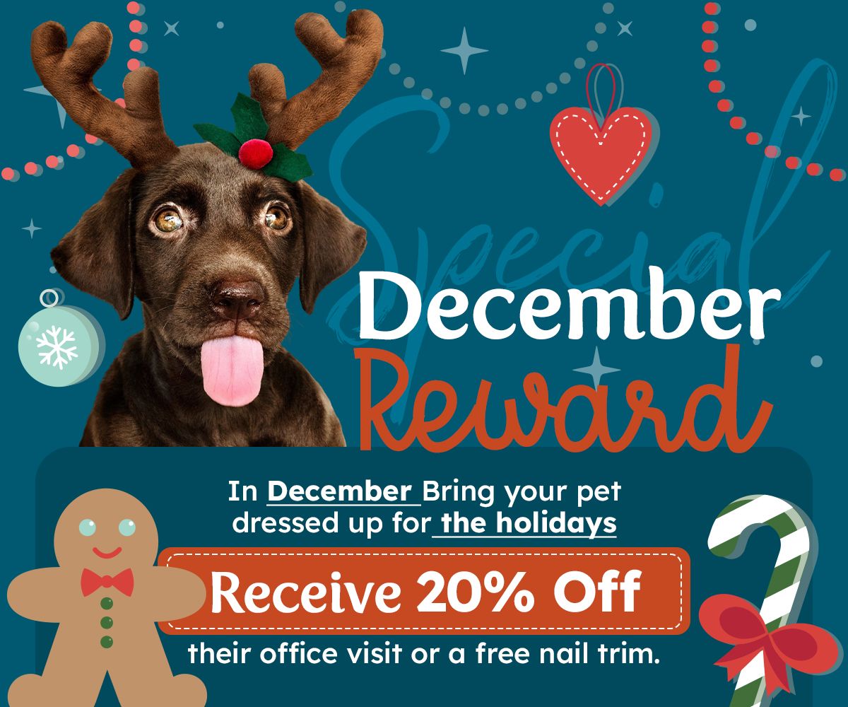 In December Bring your pet dressed up for Christmas Receive 20% off their office visit or a free nail trim